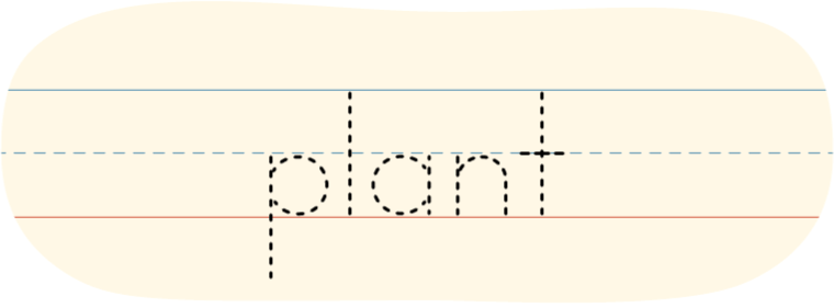 A piece of lined paper with a dotted line showing how to print the word 'plant.'