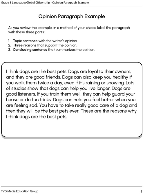 Opinion Paragraph Example