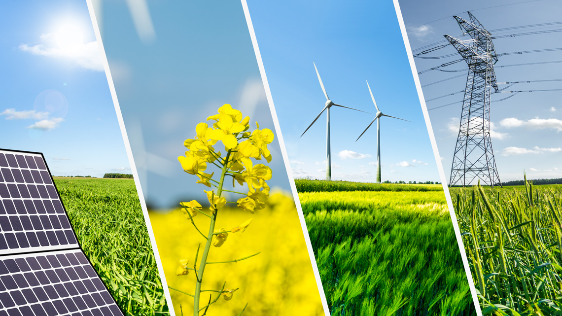 Four types of natural resources: solar power from the sun, plants, wind power, and hydroelectricity from water.