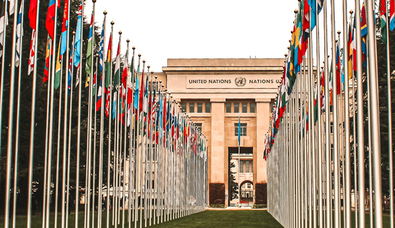 Flags of many of the world's countries outside the Palace of Nations at the United Nations Office in Geneva, Switzerland