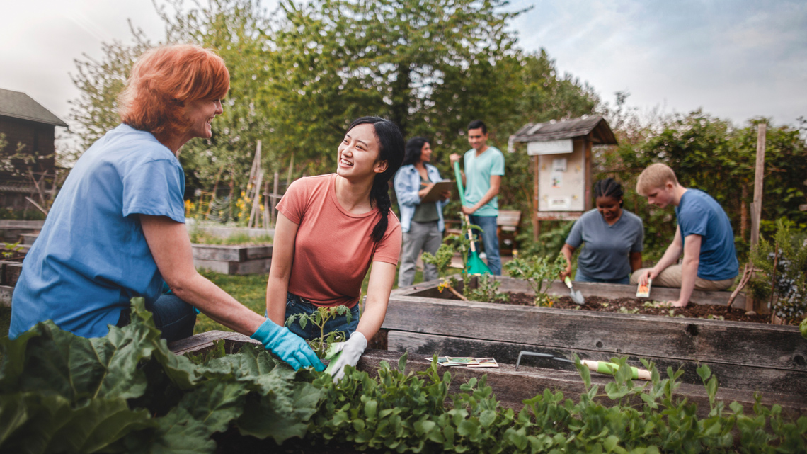 Diverse community members working in a communal garden