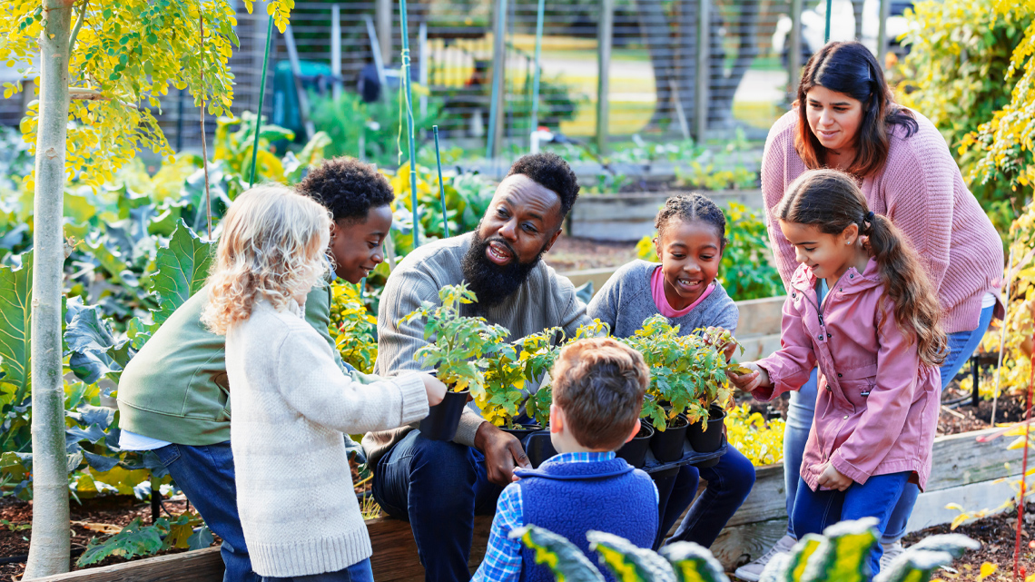 A group of children and two adults in a community garden, smiling and taking a closer look at some leafy plants