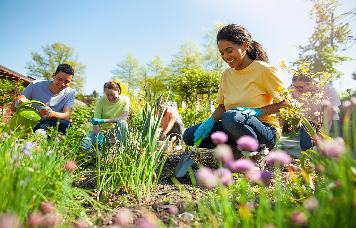 A few people working in a community garden plot.
