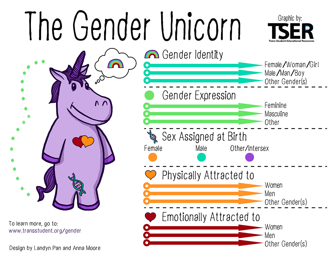 Gender Unicorn Diagram