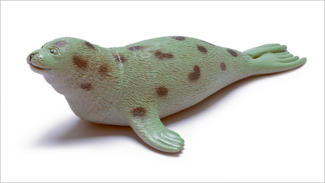 A harp seal isolated on a blank background. It is gray with dark spots along its back. It appears waxy with no visible whiskers.