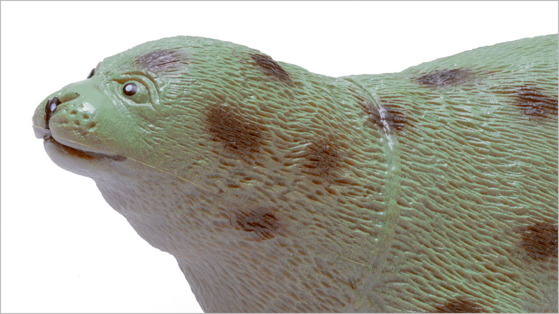 A closer look at the harp seal's face and upper body. It appears waxy with no visible whiskers.