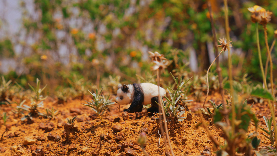 A panda, shown from the side, surrounded by some small plants. Its facial features are not clearly visible.