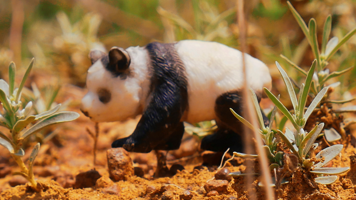 A close-up of the toy panda, shown from the side, surrounded by small plants. Its fur appears fake and waxy.