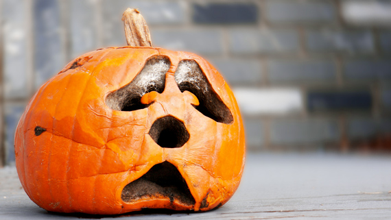 A rotten Halloween pumpkin.