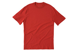 A t-shirt.