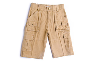 A pair of shorts