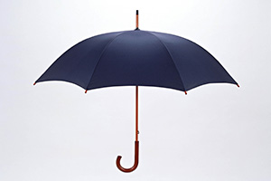 An umbrella.