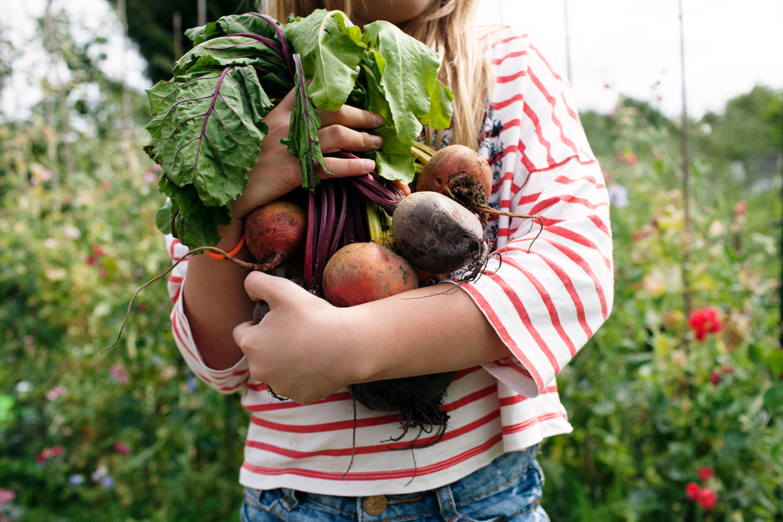 A girl stands in a garden holding a bunch of beet roots.