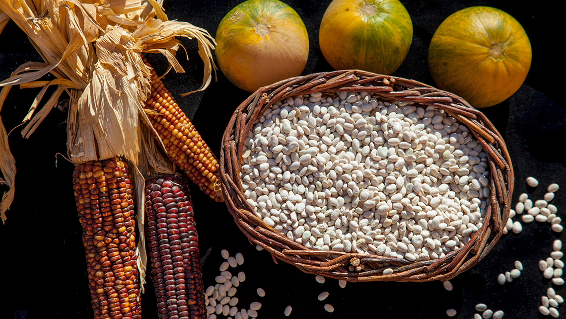 A harvest of beans, squash and corn.