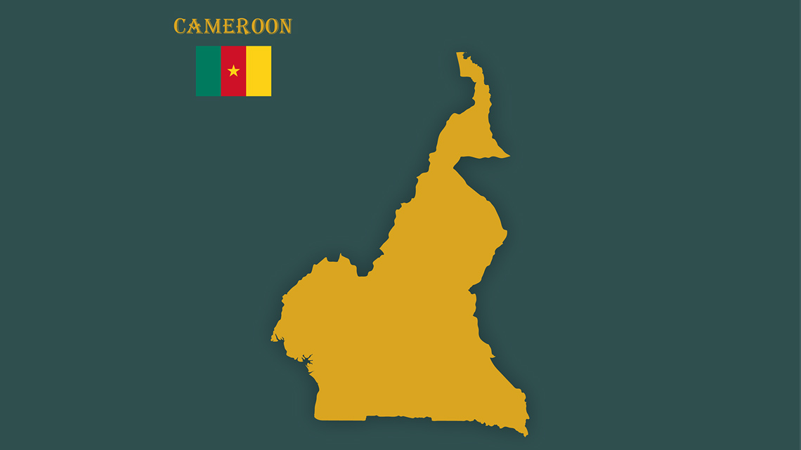 A map and flag of Cameroon.