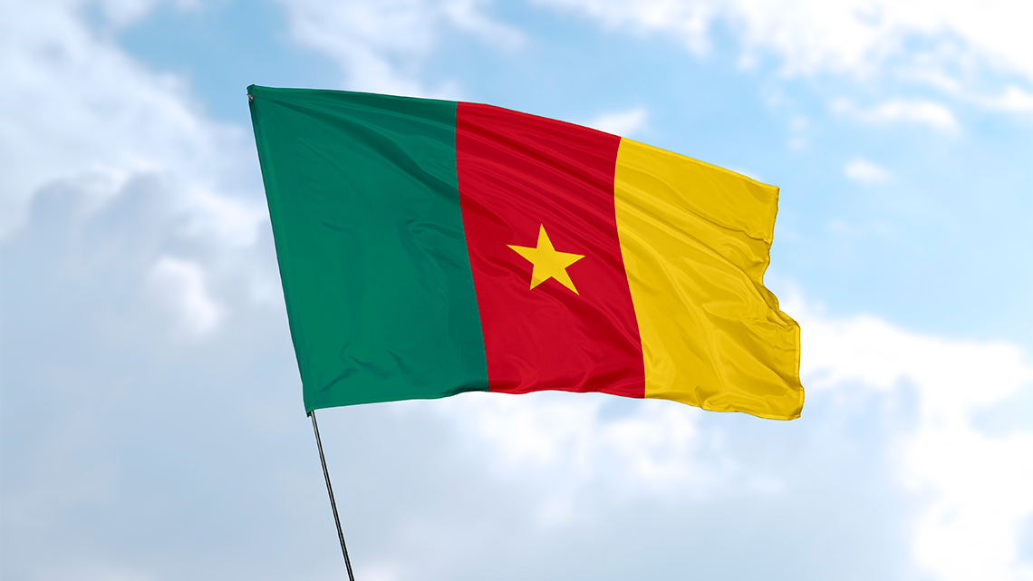 A flag of Cameroon waves in the sky.