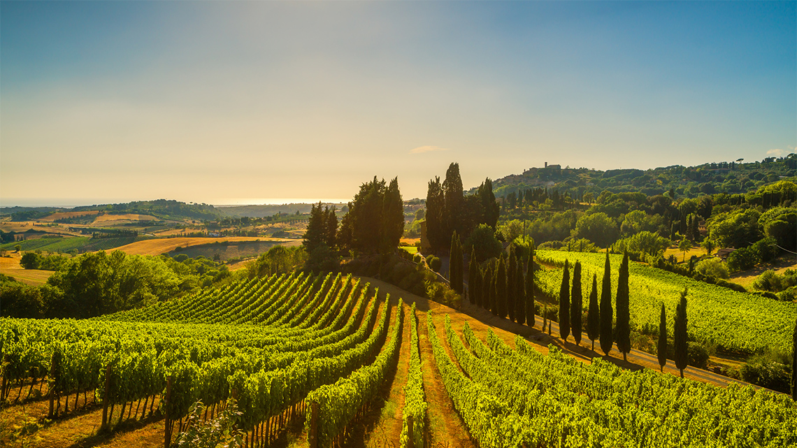A temperate climate with agricultural fields and a variety of vegetation.