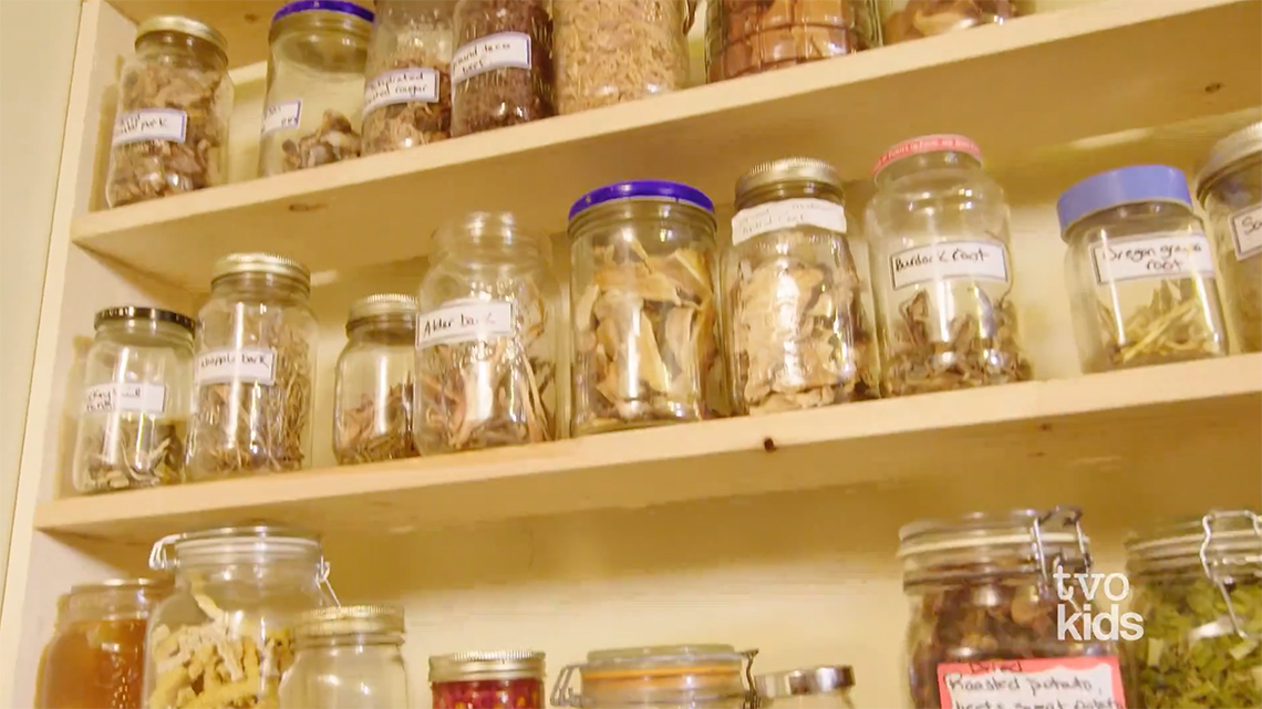 Shelves of glass jars with dried and preserved items