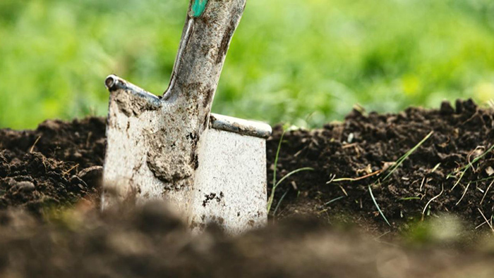 How Indigenous land-based learning can help fight climate change thumbnail.