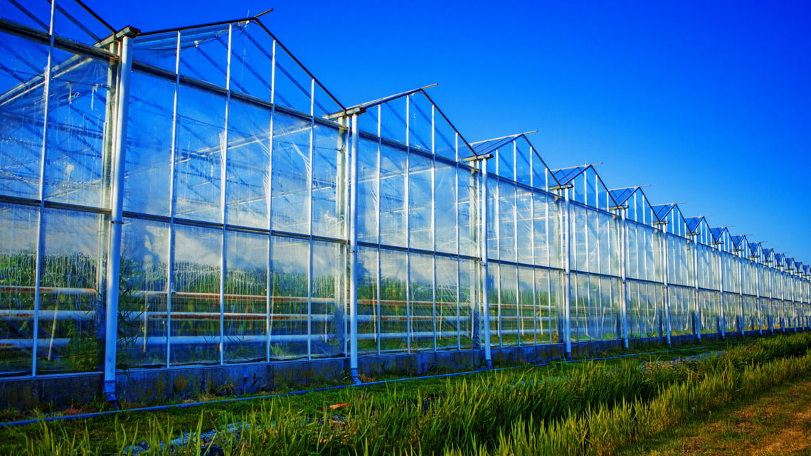 Photo of a greenhouse.