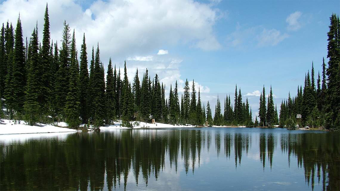 This type of water body is fresh water, not salty. It is surrounded by tall trees and can vary in size.