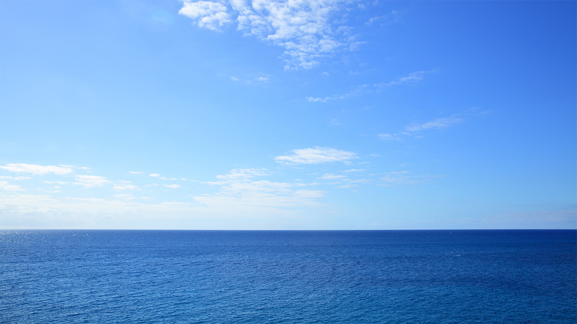 The largest type of water body where all marine saltwater on the planet connect.