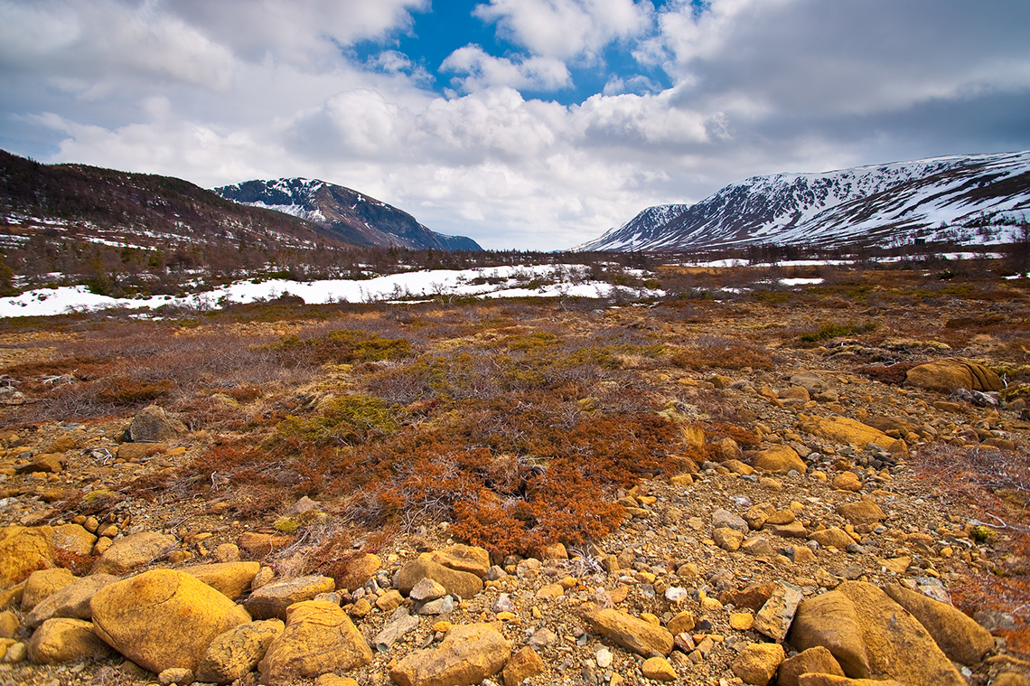 The ground is covered in moss, dirt, and snow. There are some snow-covered hills and mountains.