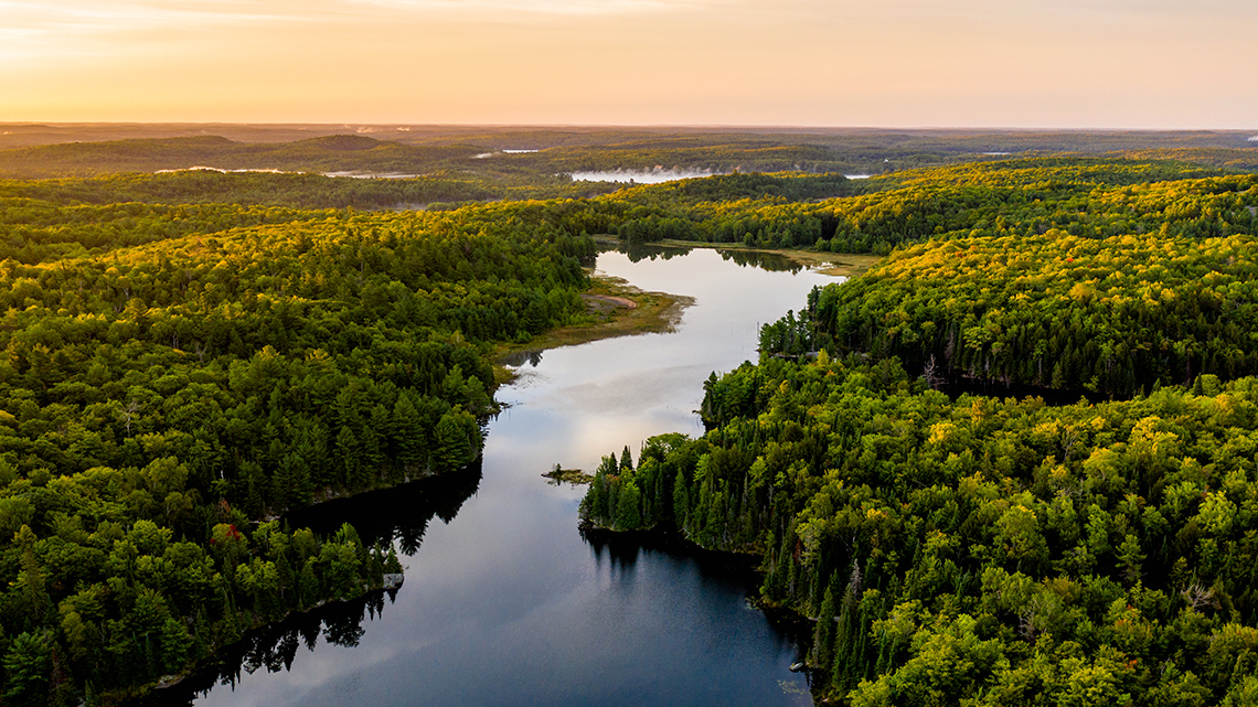 An image of a river surrounded by a forest, with a sunrise.