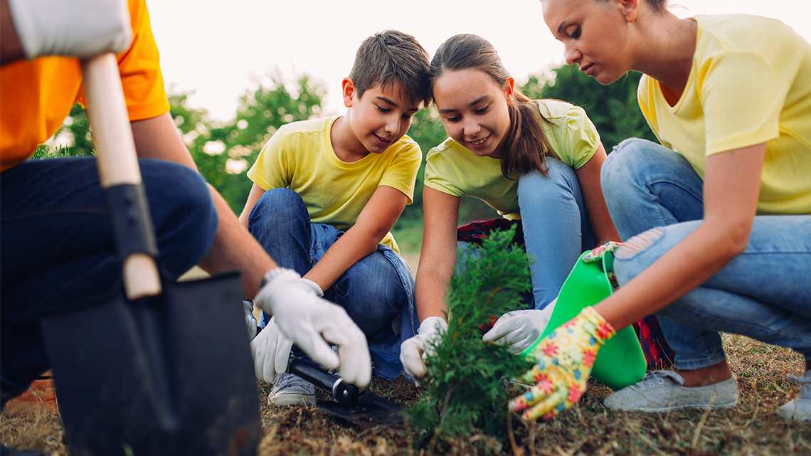 Young adults work together to plant a small plant in a garden.