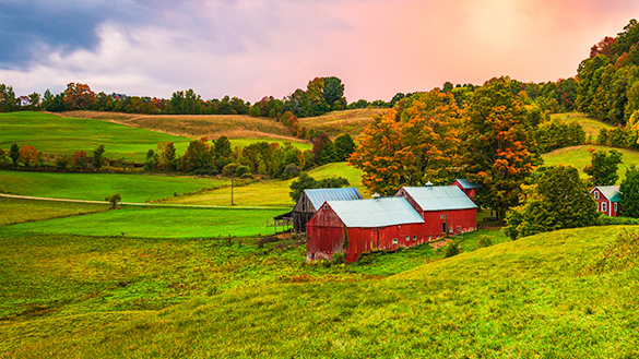 A small farm with three buildings isolated in a large field, surrounded by green fields and trees.