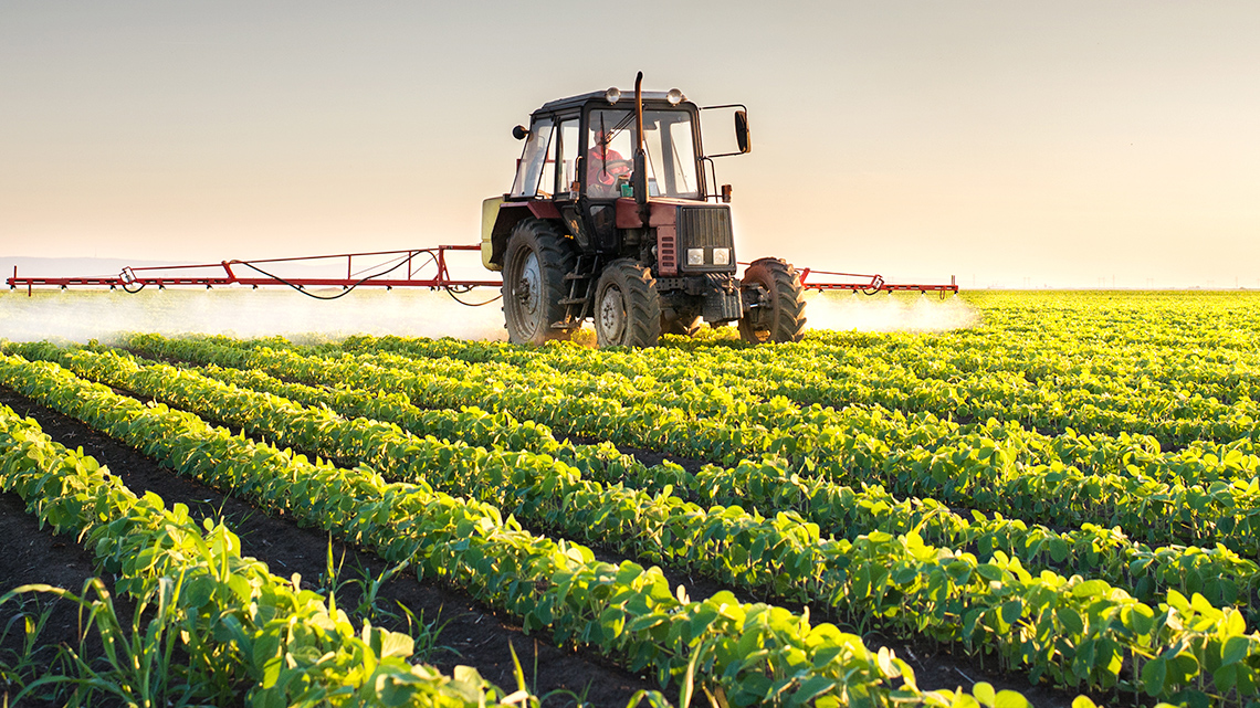 Spraying Pesticides on a Crop of Soybeans A photo of a tractor spraying a large field of soybeans with pesticides.