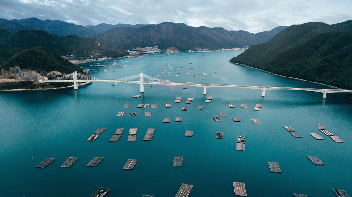 Oyster Traps in Okayama, Japan An aerial photo of several dozen oyster traps floating in a river.