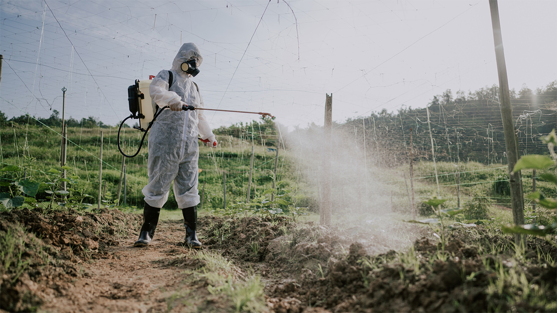 A farmer in protective gear sprays their crops with pesticides.