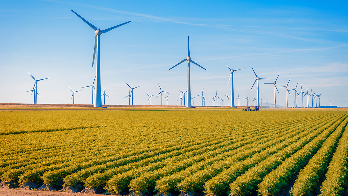 Wind Turbines A wind farm, a series of wind turbines. The turbine is a long tower with three blades
that spin.