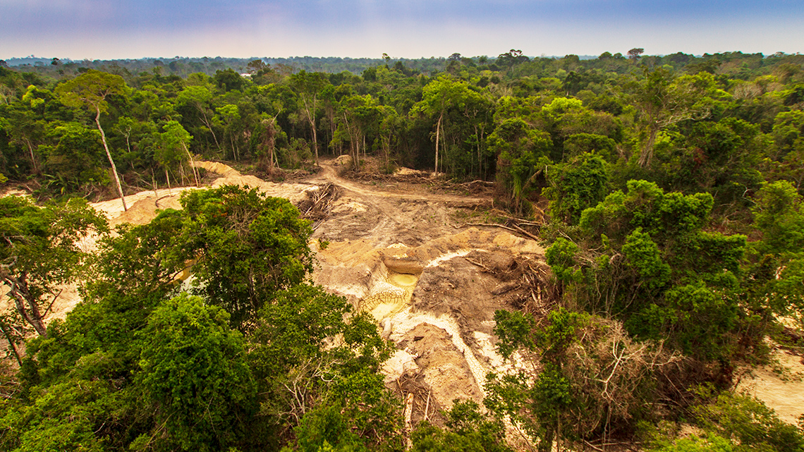 Deforestation in the Amazon. There is intact forest beside forest that has been clear-cut.