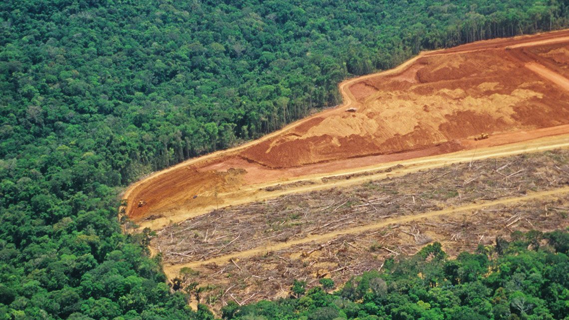 A large piece of forest has been cut and plowed. Only dirt remains, surrounded by the rainforest.