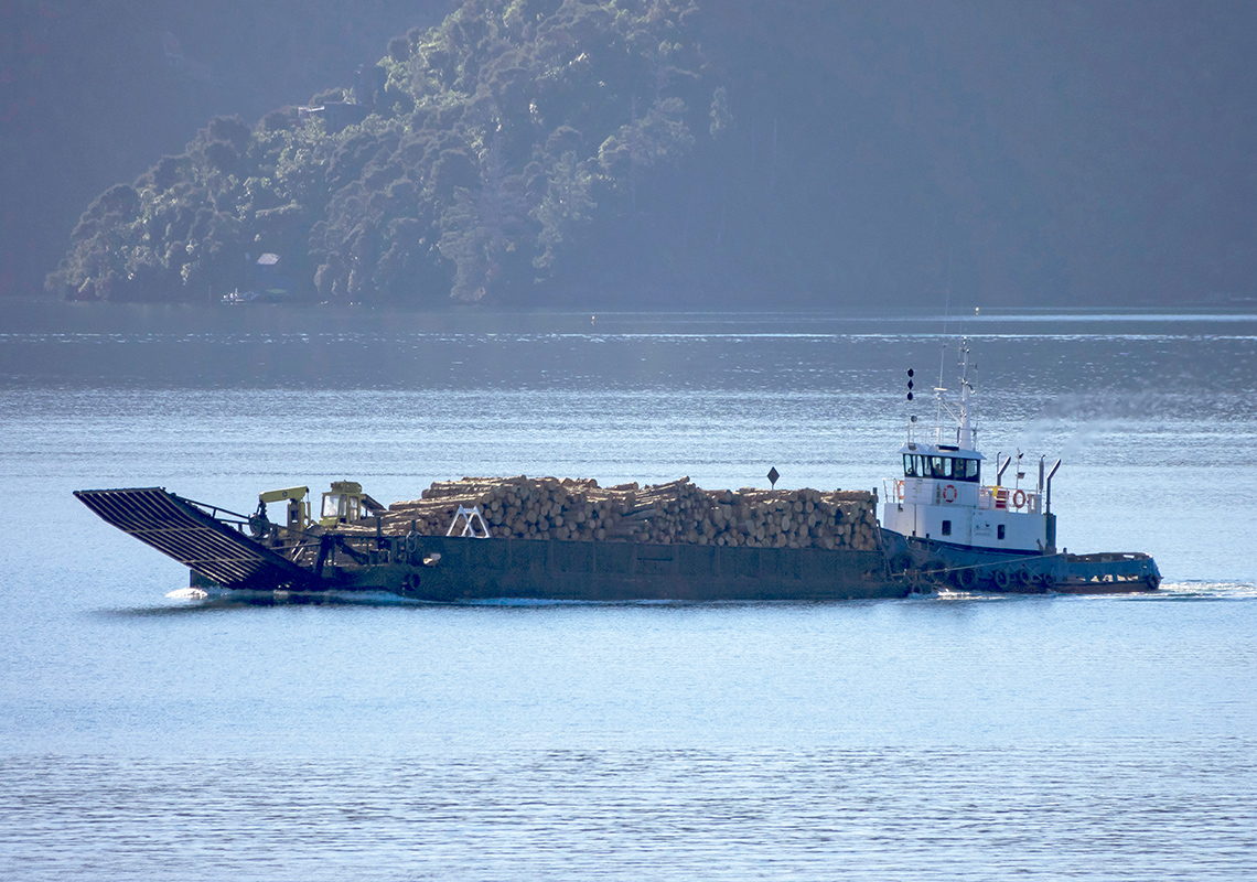 A river barge carries logs down the Amazon river. The forest is lush, the water is murky.