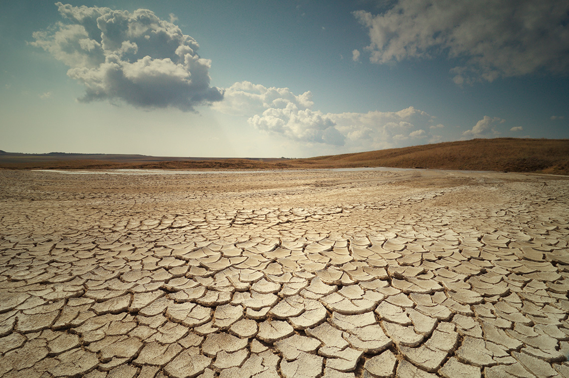 The image shows drought. The ground is completely dry with fragmented and caked soil.