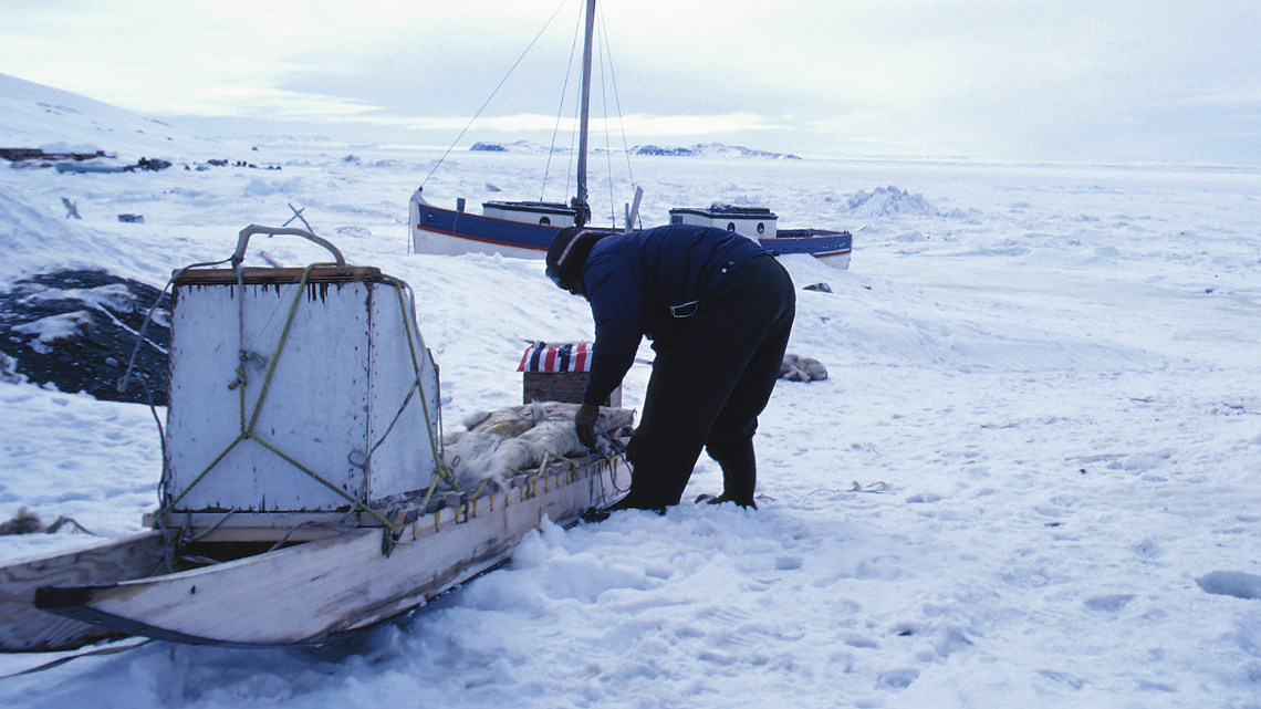 Inuit packing sled in Nunavut, Canada. The Inuit are an example of a traditional economy.