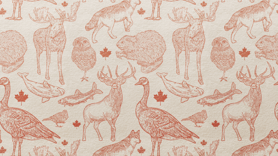 An image of maple leaves surrounded by Canadian geese, moose, owls, beavers, wolves, salmon and whales.