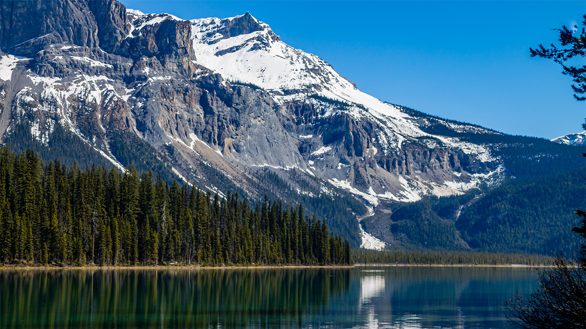A national park with a lake, a forest and tall snowy mountains.