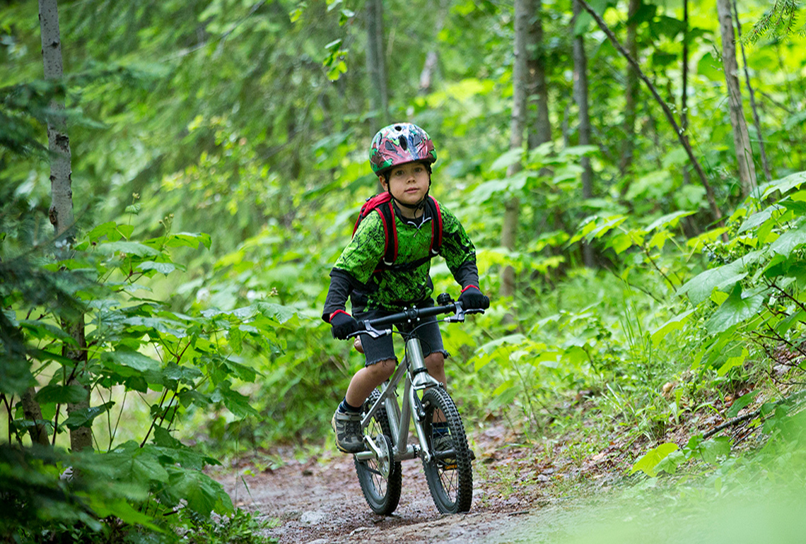 A child riding a bike in the forest