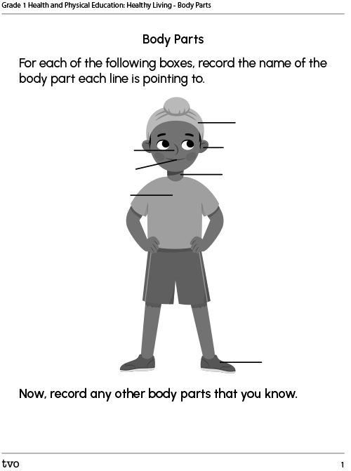 Body Parts