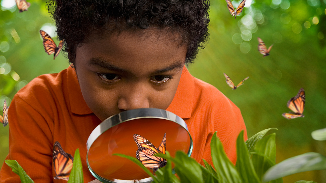 A child is looking at butterflies through a magnifying glass