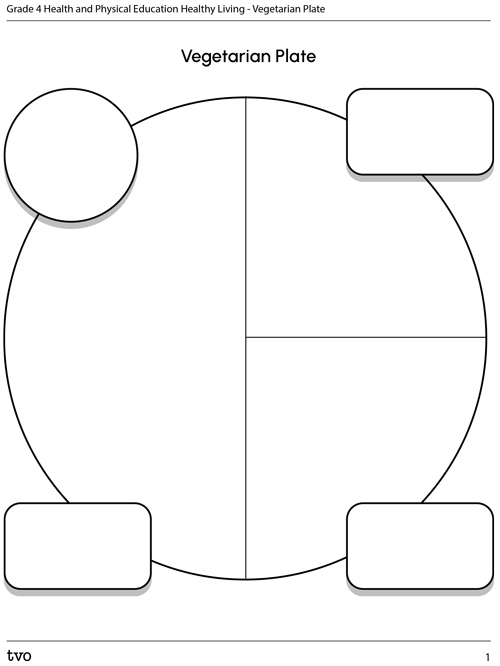 An activity titled Vegetarian Plate. There is a circle divided into two halves, and one of the halves are divided into two quarters. There are spaces for labels. Students are to create a vegetarian meal and label their foods.