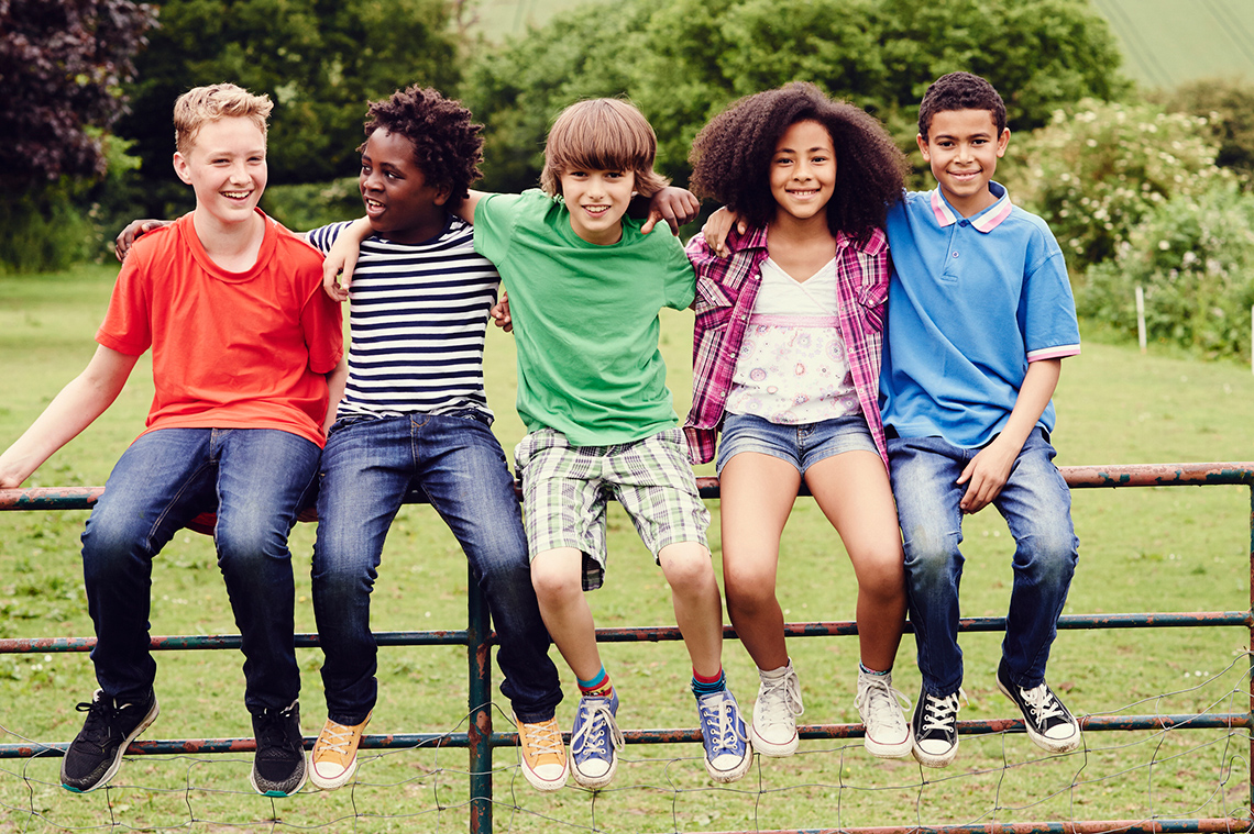 There are five friends sitting on a fence. They all have their arms around one another and are smiling.