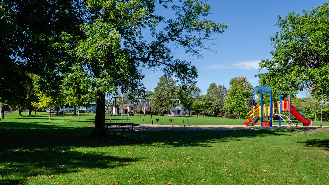 A green space with grass and trees. There are swings and a playset.