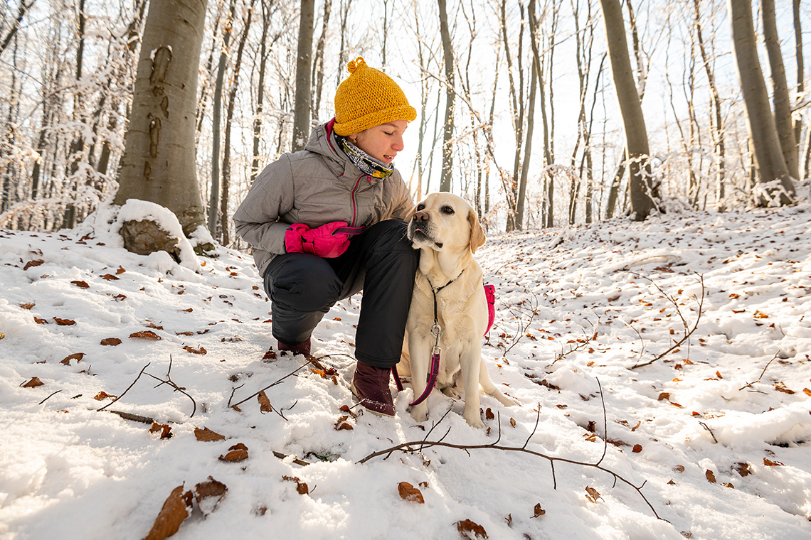A child in a natural space in winter, walking their dog.