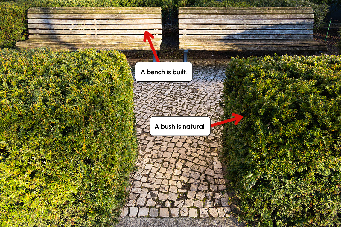 Two benches in a natural space with two bushes in front.