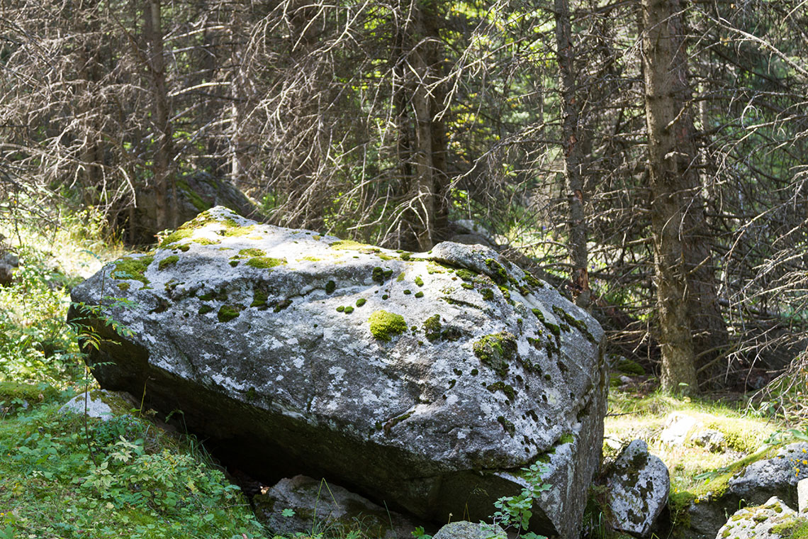 A large rock outside in a field. There are trees in the background.